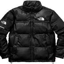 Supreme X The North Face Leather Jacket Jacket 180 North Face Nuptse Jacket Nuptse Jacket Winter Jacket North Face