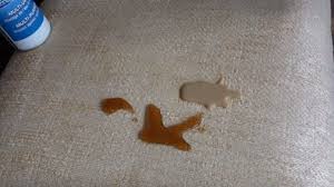 Sunbird cleaning services in fort worth offers a verity of carpet cleaning services. Carpet Cleaning Regina Affordable Prices