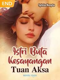 novel Teen Seventeen Twins (POV) novel terpopuler
