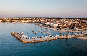 Image result for Viridivia