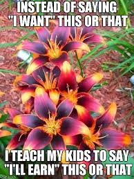 Check spelling or type a new query. Flowers Memes Imgflip