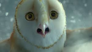 This is the story of soren, an ordinary owl who rose to become a legend of his time. Legend Of The Guardians The Owls Of Ga Hoole Reviews Metacritic