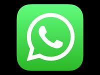 Whatsapp Icon Whatsapp Logo Whatsapp Icon Free Template Logo Clipart Whatsapp Icons Logo Icons Png And Vector With Transparent Background For Free Download Instagram Logo Icon Logo Icons