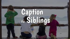 Everyone with a sibling knows that your brother and sister are the only people in the world that can drive you absolutely nuts, yet you would still take a bullet for them. Best Sibling Quotes Of All Time Dogtrainingobedienceschool Com