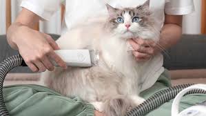 إن ماكينة الحلاقة الكهربائية xiaomi youpin للحيوانات هي الحل النهائي ضد الشعر gizchina it