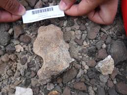 It was discovered in on 1 august 1984 by kamoya kimeu on the bank of the nariokotome river near lake turkana in kenya. Eurekalert Science News Releases