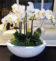 12 Marvelous Ceramics Pottery Vases Ideas Orchid Arrangements Orchid Flower Arrangements Flower Arrangements