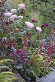 Le Temps Qui Passe Dans Le Jardin D Eugenie Colorful Garden Plants Garden Inspiration