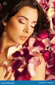 26,290 Fresh Young Rose Stock Photos