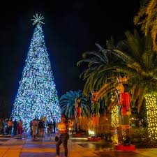 9:30, 10:00, & 10:30 preschool storytime, august 24 and 31st: Lake Eola Christmas Tree Florida