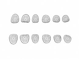 Black And White Potato Chips Big Bowl Of Potato Chips Bowl Big Chips Potato Potato Chips Big Bowl Chips