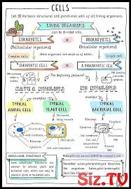 Get Your Free Gcse Biology Revision Notes Comparin Amazon Animal Bacterial B Amazon Science Notes Biology Notes Gcse Science