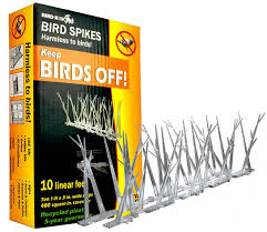 Are you ready to find out how to get rid of pigeons? How To Get Rid Of Pigeons Their Health Risks Pestkilled