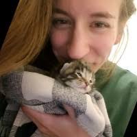 100+ "Windibank" profiles