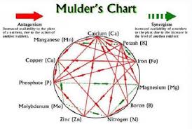 Minerals Soil