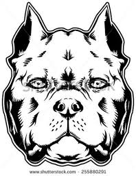 Black And White Pitbull Tattoos Image Result For American Bully Outline Art Dog Tattoos Dog Portraits Illustration Pitbull Drawing