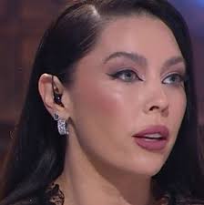 Madre e hija mueren picadas por abejas "asesinas": Bus en el que viajaban  chocó contra su colmena