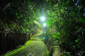 Greenwich carpark pte ltd is a specialist provider of car park management services. Walkway Surrounded By Lush Greenery At Bukit Batok Nature Park Stock Photo Picture And Royalty Free Image Image 128711974