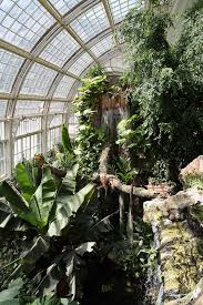 Sobald wir wieder öffnen dürfen, melden wir uns. Schmetterlingszoo Wikipedia