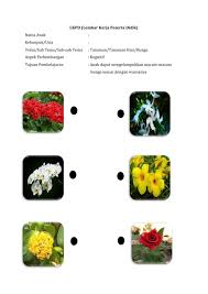 Sebuah tugas yang diperintahkan dalam lembar jelas kompetensi dasar yang akan dicapainya. Mengelompokkan Warna Bunga Worksheet