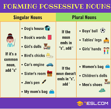 This lesson discusses the variety of ways in which english plural nouns are formed from the corresponding singular forms, as well as various issues concerning the usage of singulars and plurals in english. Possessive Noun Definition Rules Examples Of Possessive Nouns 7esl