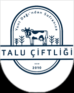 T Harfi Ile Baslayan Firmalar