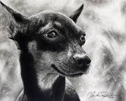 We asked dog parents to describe their dog's breath, and turned their answers into perfumes. Design Stack A Blog About Art Design And Architecture Hyper Realistic Pencil Drawings Of Dogs