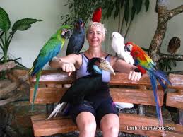 The kl bird park is located in the serene and scenic perdana botanical gardens, 10 minutes away from the kuala lumpur city centre. Review Kuala Lumpur Bird Park Lashworldtour