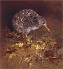 Pin By Susie Gordon On Raymond Ching Bird Art Wildlife Art Nz Art