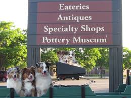 These dogs are also wonderful with children and extremely devoted and loving to their owners. Waterfall Australian Shepherds In Minnesota
