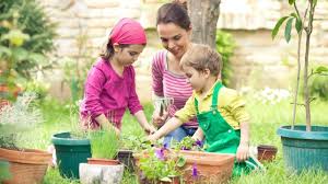 Ask a gardening question, get a gardening answer. Gardening With Kids How It Affects Your Pbs Kids For Parents
