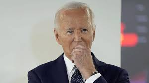 Relax, the Only People Panicking About Biden Are Political Insiders, the  Media, and Literally Everyone Else