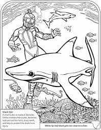 3 D Coloring Book Sharks Shark Coloring Pages Coloring Books Coloring Pages