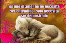 Dichos Para Novio Frases Frases De Lobos Frases Bonitas