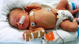 What Happens When A Baby Is Born Addicted To Drugs The Science Explorer