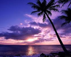 Beach Serene Wallpapers And Pictures 30 Items Page 1 Of 2 Sunset Wallpaper Beautiful Sunset Beach Sunset