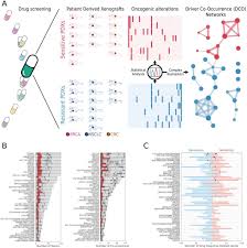 Dacă x/y =4/9 diferit de 0 , atunci 3x+2y/5x+y =. Personalized Cancer Therapy Prioritization Based On Driver Alteration Co Occurrence Patterns Springerlink