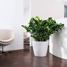Amazon Com Lechuza 13210 Classico Color 35 Self Watering Garden Planter For Indoor And Outdoor Use White Matte Decorative Urns Garden Outdoor Discover our various styles made in germany. lechuza 13210 classico color 35 self watering garden planter for indoor and outdoor use white matte