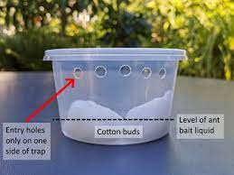 How To Make An Outdoor Ant Trap To Protect Fruit Trees From Aphid And Scale  Pests – Deep Green Permaculture