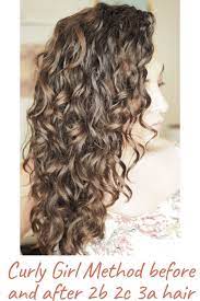 Curly Girl Method Before And After 2b 2c 3a Hair Curly Girl Method Curly Hair Styles Curly Girl