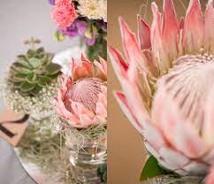 King Protea Floral Arrangements Popular Flowers Wedding Table Settings