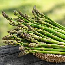 Image result for Asparagus buchananii