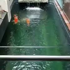 Rab pembuatan kolam ikan koi Kolam Pancuran Air Kolam Syamin Ilham Venture