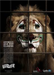 Circus Animal Cruelty Ads Statistics How You Can Help Visual Metaphor Animal Posters Animals