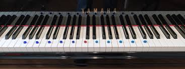 Learn vocabulary, terms and more with flashcards, games and other only rub 220.84/month. Schneller Sicherer Noten Lesen Linientone Auf Der Tastatur Markieren Der Zauberklavier Blog