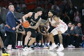 UNC Wilmington Seahawks vs Towson Tigers Prediction, 1/29/2026 College Basketball Picks, Best Bets & Odds