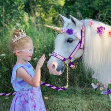 Check spelling or type a new query. Top Petting Zoos For Hire In Toledo Oh 100 Guaranteed Gigsalad