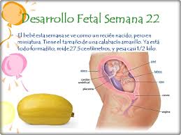 Ya se pueden apreciar sus párpados, pestañas y cejas, así como las uñas de los dedos. Como Cambia Tu Cuerpo Durante El Embarazo Semana A Semana