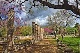 Check spelling or type a new query. Arxaia Olympia Athellas