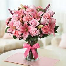 We did not find results for: 1 800 Flowers Expressions Of Pink Canton Ma